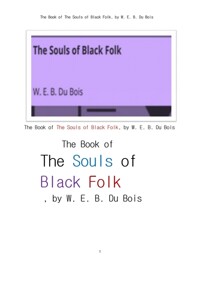 보이스의 흑인의 영혼 (The Book of The Souls of Black Folk, by W. E. B. Du Bois) 커버