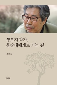 생오지 작가, 문순태에게로 가는 길 커버