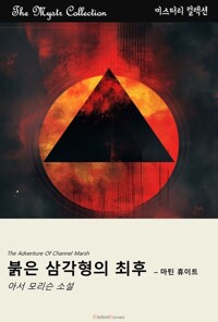 붉은 삼각형의 최후 : 마틴 휴이트 커버