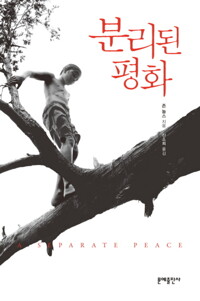 분리된 평화 커버